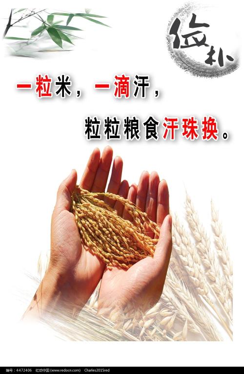 费耶特维尔州立大学本科学位证